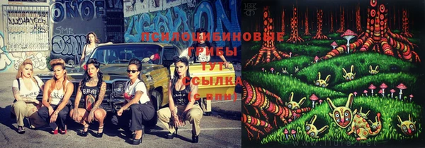 твердый Абинск