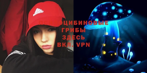 твердый Абинск